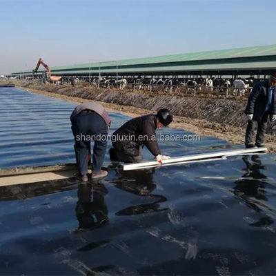 Strati di plastica in stile industriale per rivestimento delle dighe di terra delle aziende agricole a prezzi accessibili