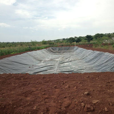 Superficie liscia Geomembrana in HDPE da 0,75 mm per l'acquacoltura
