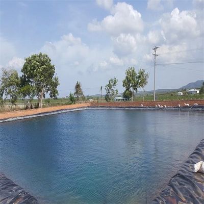 Liner di stagno in HDPE in plastica ad alta densità da 2 mm per progetti di impermeabilizzazione e di soluzione totale