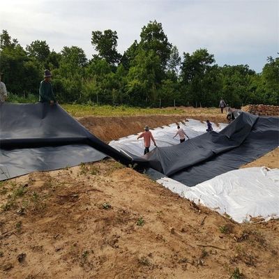 Liner di stagno in HDPE in plastica ad alta densità da 2 mm per progetti di impermeabilizzazione e di soluzione totale