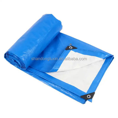 Tenda di copertura di tenda in plastica in PE con contenitore aperto di piattaforma di trasola con larghezza 2M-50M