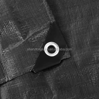 Telaio rivestito con modello Telaio di vinile PE Telaio di pinze resistenti all'acqua rivestito per cerimonie