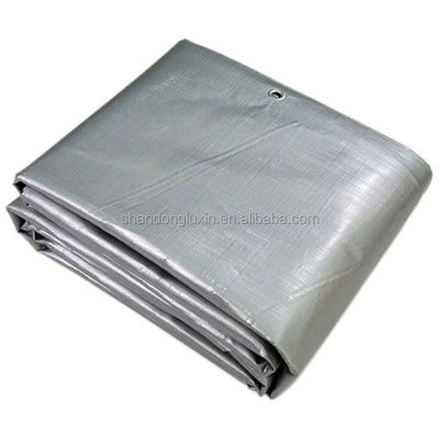 Tipo rivestito LDPE rivestito 50-300 gm Tereza PE resistente all'acqua per esterni