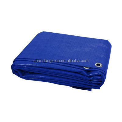 Tipo rivestito LDPE rivestito 50-300 gm Tereza PE resistente all'acqua per esterni