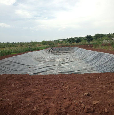 Geomembrane in stile di design industriale Plastica HDPE impermeabile liscia per rivestimento di stagni
