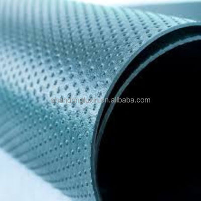 Geomembrana esterna in HDPE Membrana impermeabile per materiali geosintetici LDPE EVA