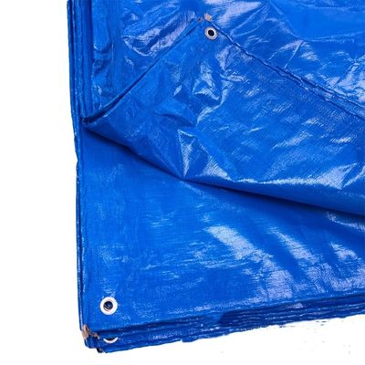 Tenda di telone in PE blu rivestito per camion padroneggiante stile contatto