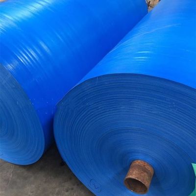 Tenda di telone in PE blu rivestito per camion padroneggiante stile contatto