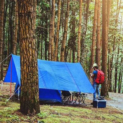 Copertura per alberi all'aperto Tarpaolina in HDPE con laminazione in LDPE e densità 6*6-16*16