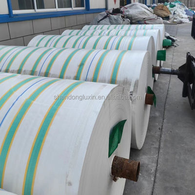 Coperture impermeabili a bambusa in PE per strutture esterne Larghezza 2m-100m Densità 6*6-16*16