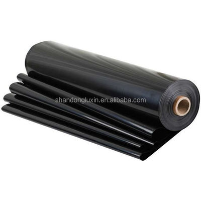 Geomembrana lucida di design moderno 0,3 mm 1,5 mm 2,00 mm per l'impermeabilizzazione del serbatoio