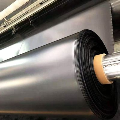 Geomembrana in HDPE per discarica di pesce di plastica grande o su richiesta