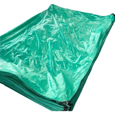 Tenda di telone impermeabile in PE per autocarri