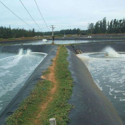 ASTM GRI-GM13 Geomembrana nera durevole standard per ingegneria idrica e serbatoi
