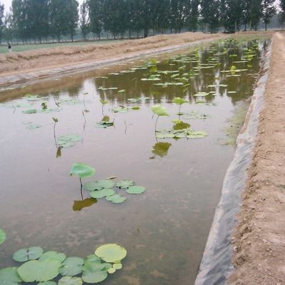 Geomembrana nera per discarica impianto di trattamento delle acque reflue stagno di pesce collina diretto