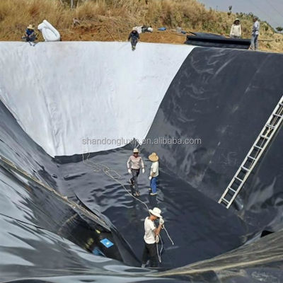 Geomembrana nera rispettosa dell'ambiente per il sito di discarica e il serbatoio delle acque reflue degli stagni ittici