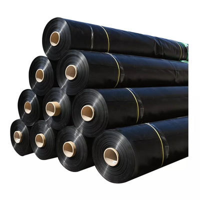 Geomembrana idraulica in HDPE Soluzione duratura per stagni ittici e impianti di depurazione delle acque reflue