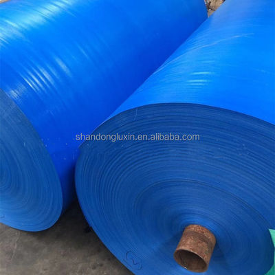 Proteggete i vostri oggetti dalla pioggia e dalla polvere con una trapaniera blu resistente alle basse temperature