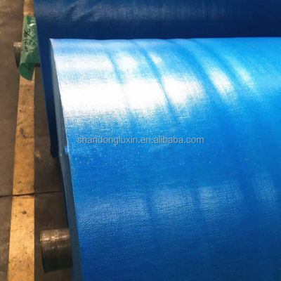 Proteggete i vostri oggetti dalla pioggia e dalla polvere con una trapaniera blu resistente alle basse temperature