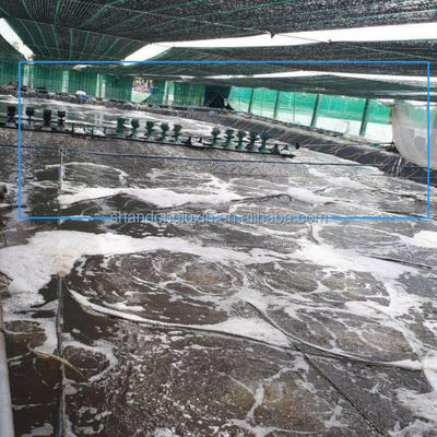 Geomembrana da 1 a 6 m di larghezza per stagni di pesci all'aperto Prefabbricata resistente agli acidi e alle alcali