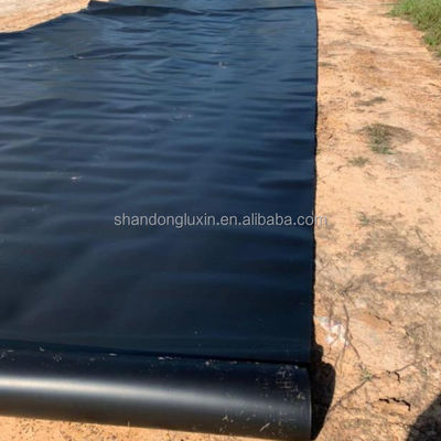 Geomembrane lisce per stagni di pesce e discariche