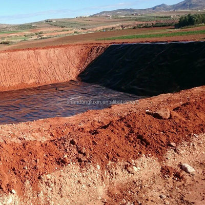 Geomembrana nera di HDPE ecologica per stagni di pesci ASTM GRI-GM13 Standard