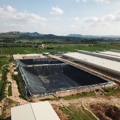 Geomembrana nera di HDPE ecologica per stagni di pesci ASTM GRI-GM13 Standard