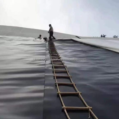 Geomembrana nera di HDPE ecologica per stagni di pesci ASTM GRI-GM13 Standard