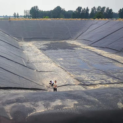 Geomembrana nera di HDPE ecologica per stagni di pesci ASTM GRI-GM13 Standard