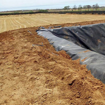 Geomembrana in HDPE resistente alle lacrime da 1 mm a 2 mm per rivestimenti di stagni per pesci resistenti agli acidi e agli alcali