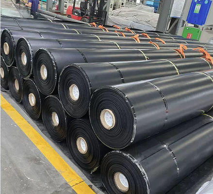 Geomembrana in HDPE impermeabile nero per stagni di pesce Sito di discarica Stagno 1mm 2mm