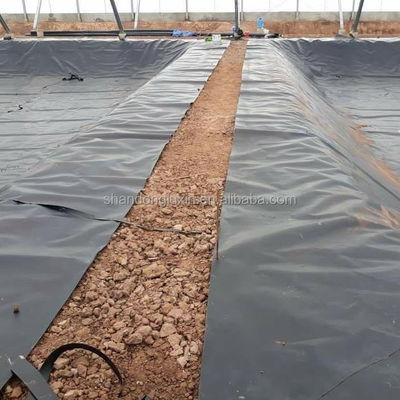 Geomembrana a texture singola per discariche anti-siccaggio e prevenzione dell'inquinamento