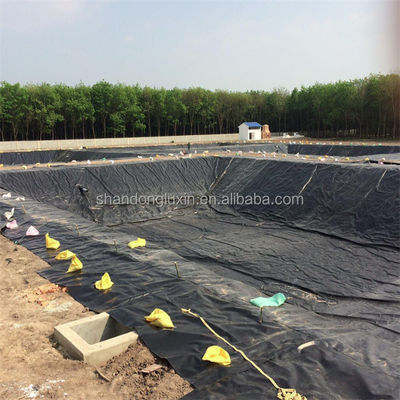 Geomembrana personalizzata per stagni di pesci e ingegneria civile spessore 1 mm-2 mm resistente