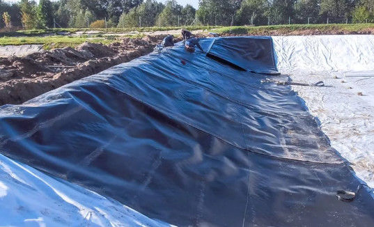 Moderno design nero HDPE Geomembrana liscia 0,5 mm 1 mm per discariche e stagni per pesci