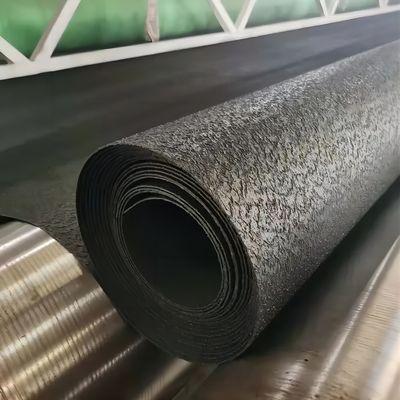 Geomembrana texturata a lato unico di design moderno per la protezione dei pendii dai produttori