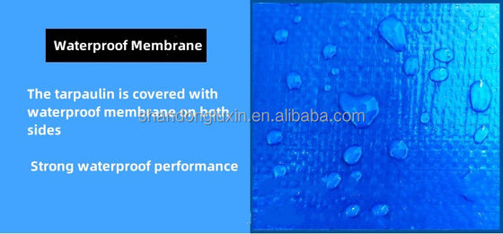 240 g Tenda di telone impermeabile in Pe Blu Tela di telone in Hdpe Densità 6*6-16*16 Impermeabile