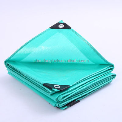 Avvolgimento a colori personalizzati 160gm Pesante 3 strati tessuto PE Tarpaulin Tarpa per copertura