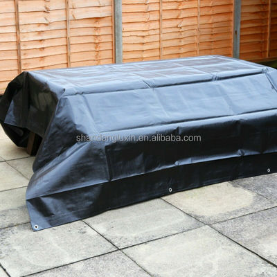 Densità 6*6-16*16 Doppia facciata per esterno PE Tarpaulin Sheet Roll per Garden Truck Cover