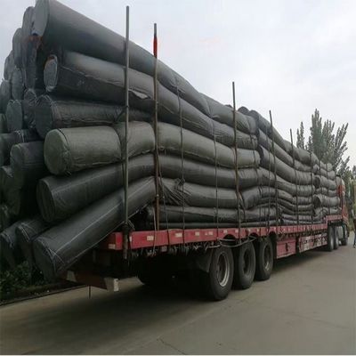 Fornitura diretta di rivestimenti per stagni di pesce a geomembrana in HDPE per discariche e stagni di pesce