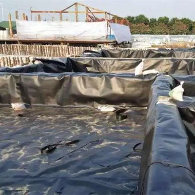 Pesci allevamenti stagni piscina laguna acquacoltura Geomembrana di polietilene ad alta densità 2 mm