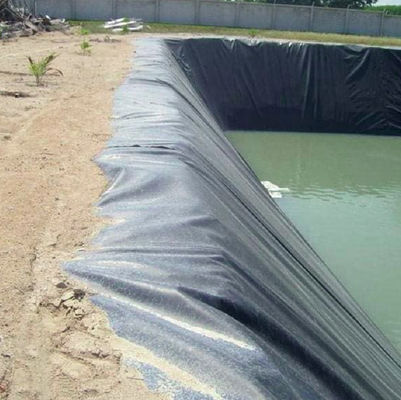 Pesci allevamenti stagni piscina laguna acquacoltura Geomembrana di polietilene ad alta densità 2 mm