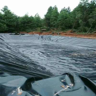 Garantire serbatoi di stoccaggio dell'acqua a prova di perdite con superficie doppia liscia a geomembrana in HDPE