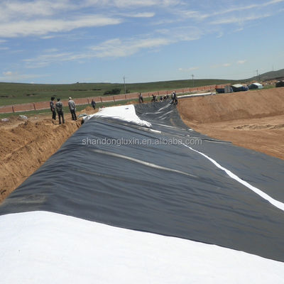 2 mm Geomembrana in HDPE nero impermeabile al pesce gamberetti per acquicoltura