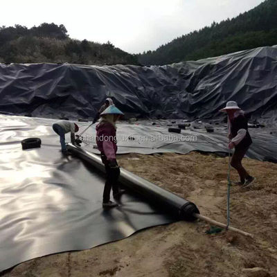 2 mm Geomembrana in HDPE nero impermeabile al pesce gamberetti per acquicoltura