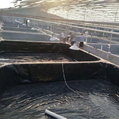 ISO9001 Standard Geomembrana in HDPE Prevenzione dell'acqua e delle perdite con vendita diretta