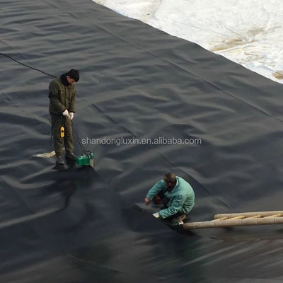 0.75mm Acquacoltura PE Geomembrane Pond Liner per pesci gamberi Compresi i ricambi gratuiti