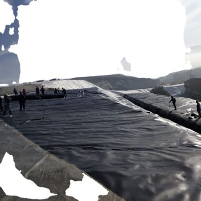 Capacità di progettazione grafica Stile industriale HDPE Geomembrane Liner 1.0 mm per stagno