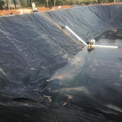 Geomembrane Fish Pond Liner per siti di discarica Prefabbricato Disegno di rivestimento liscio della diga