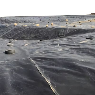 1.0 mm HDPE Geomembrane Liner per geomembrane in discarica di dighe di serbatoi di laghi artificiali