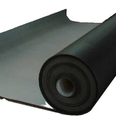 Lunghezza 50-200m Moderno design Geomembrana liscia Piscina di pesce Liner per piscine di pesce direttamente